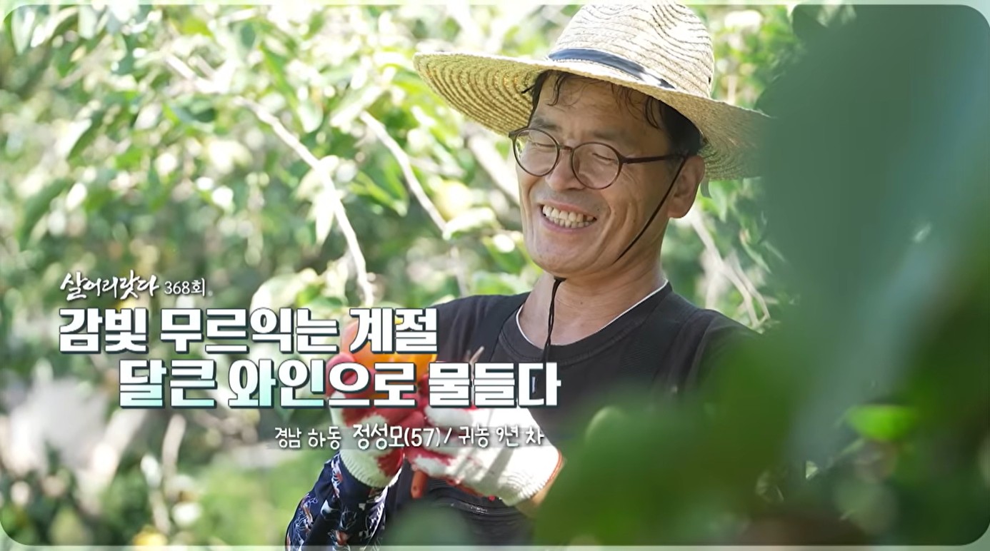 (경남 하동/368회) 지리산 자락 대봉감, 와인으로 다시 태어나다ㅣ#KTV #살어리랏다 #귀농귀촌 #지리산